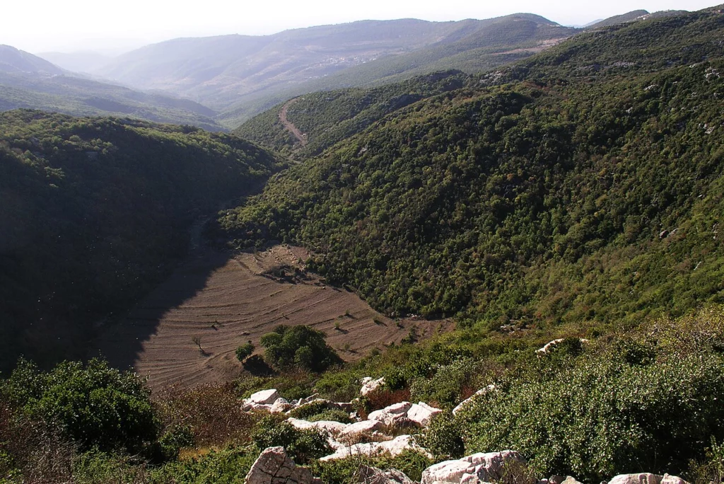 Круглая карстовая воронка в земле, заросшая травой, на краю поля