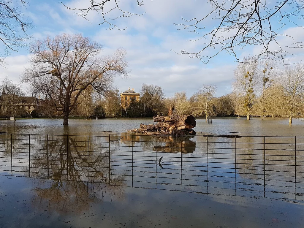Весенний разлив реки затопил луг, между деревьями стоит вода